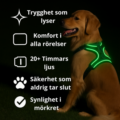 VoffLight